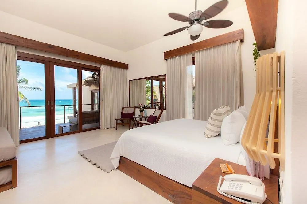La Zebra Colibri Boutique Hotels Tulum 4*,  Mexico