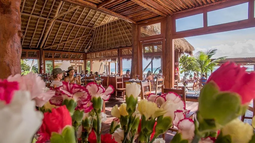 La Zebra Colibri Boutique Hotels Tulum