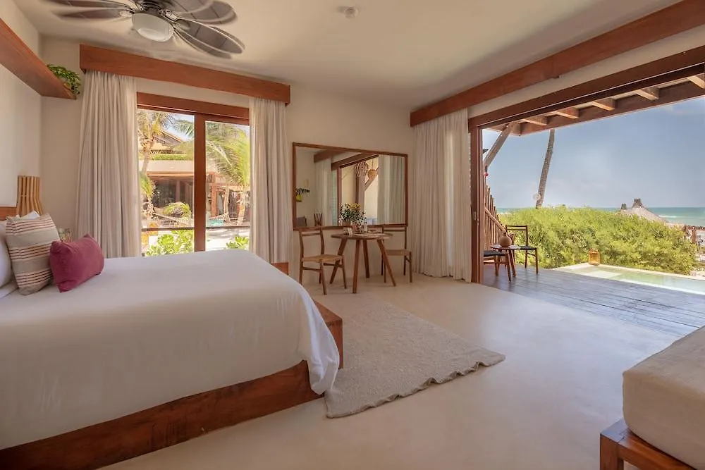 La Zebra Colibri Boutique Hotels Tulum