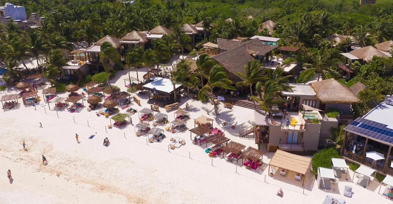 La Zebra Colibri Boutique Hotels Tulum Meksika